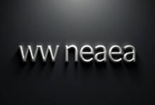 How to Access WW NEAEA Grade 10 & 12 Results Online