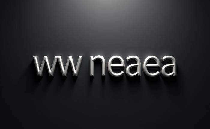 How to Access WW NEAEA Grade 10 & 12 Results Online